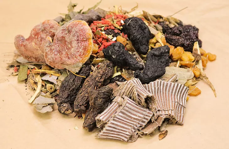 Công Dụng Của Minh Mạng Thang: Cơ Chế Dược Lý Và Cách Ngâm Rượu Chuẩn Vị
